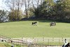 IMG_2441
