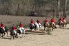 _MG_8164-641