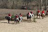 _MG_8159-636