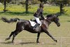 IMG-6825