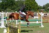 IMG-3913