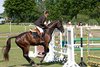 IMG-3936