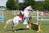 IMG-3723