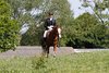 IMG-3932