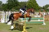 IMG-3818