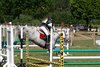 IMG-3919