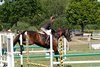 IMG-3940