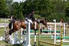 IMG-3335