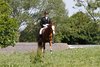 IMG-3931