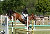 IMG-3597