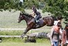 IMG-6491
