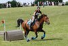 IMG-6110