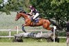 IMG-6339