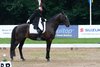 IMG-9644