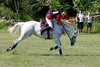 IMG-1178
