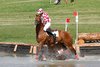 IMG-4129
