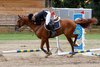 IMG-5237