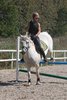 IMG-1631
