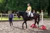 IMG-3962