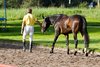 IMG-4001