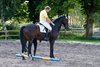 IMG-3991