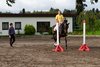 IMG-3966