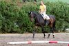 IMG-3951