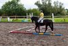 IMG-3955