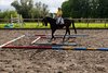 IMG-3963
