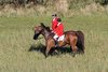 IMG-7603