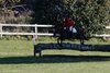 IMG-7544
