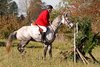 IMG-7439