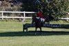 IMG-7540