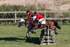 IMG-7161