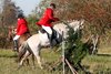 IMG-7103