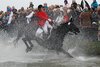 IMG-0530