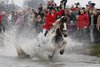 IMG-0536