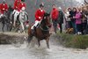 IMG-0647