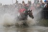 IMG-1445