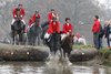 IMG-1369