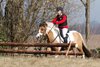 IMG-3187