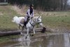 IMG-6628