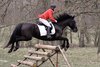 IMG-7905