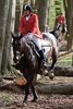 IMG-9415