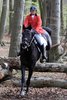 IMG-9758