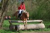 IMG-0123