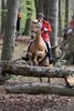 IMG-9748
