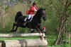 IMG-0055
