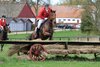 IMG-0659