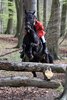 IMG-9754